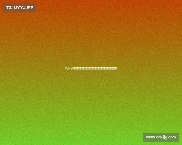 WNBA是美国顶尖女子职业篮球赛事全面解析其历史规则与全球影响力